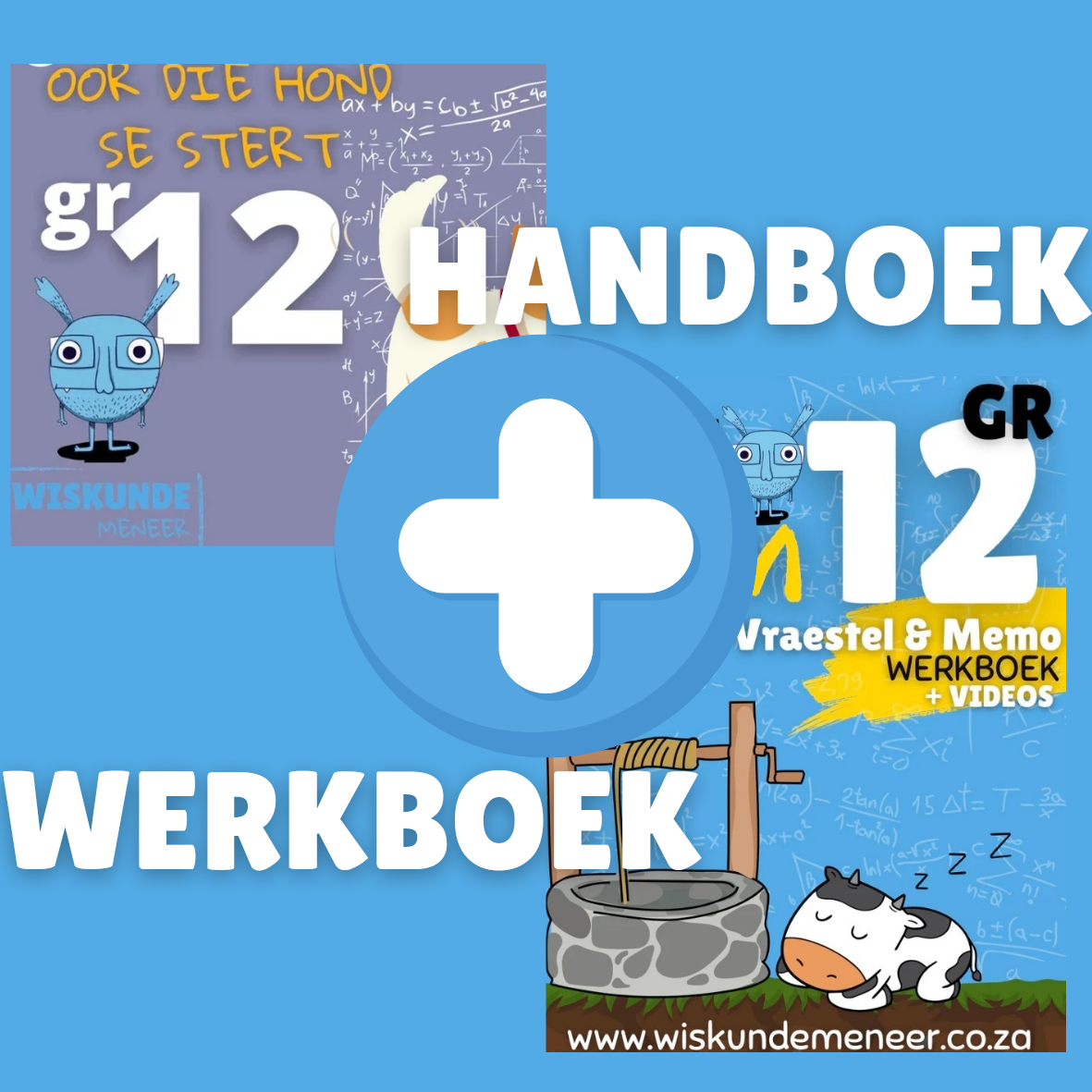 GR12 BUNDLE (HANDBOEK & WERKBOEK) *gewone Wiskunde*